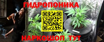 амф Будённовск