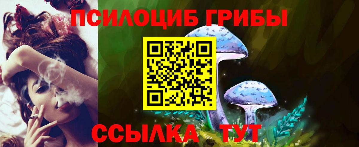 Псилоцибиновые грибы мицелий Киреевск